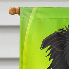 Load image into Gallery viewer, Border Collie St. Patrick's Day Flag Canvas House Size BB1985CHF