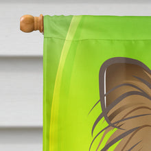 Load image into Gallery viewer, Papillon St. Patrick's Day Flag Canvas House Size BB1992CHF