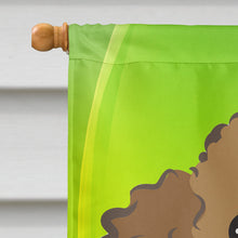 Load image into Gallery viewer, Chocolate Brown Poodle St. Patrick's Day Flag Canvas House Size BB2000CHF