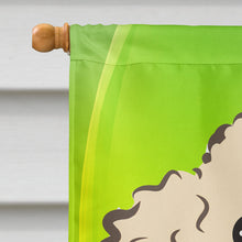 Load image into Gallery viewer, Buff Poodle St. Patrick's Day Flag Canvas House Size BB2002CHF