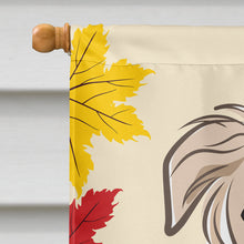 Load image into Gallery viewer, Borzoi Thanksgiving Flag Canvas House Size BB2034CHF