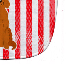 Load image into Gallery viewer, Patriotic USA Irish Setter Baby Bib BB3059BIB