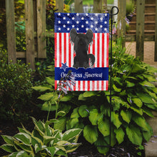 Load image into Gallery viewer, Patriotic USA Chinese Crested Black Garden Flag - Outdoor Decorative Yard Flag BB3107GF