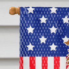 Load image into Gallery viewer, Patriotic USA Border Collie Red White Flag Canvas House Size BB3114CHF