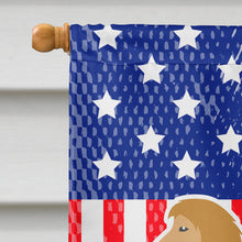 Load image into Gallery viewer, USA Patriotic Afghan Hound Flag Canvas House Size BB3306CHF