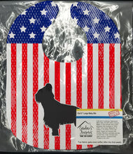 Load image into Gallery viewer, USA Patriotic Briard Baby Bib BB3326BIB
