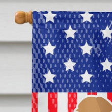 Load image into Gallery viewer, USA Patriotic Brussels Griffon Flag Canvas House Size BB3340CHF