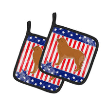 Load image into Gallery viewer, USA Patriotic Leonberger Pot Holders - Set of 2 - Heat-Resistant Kitchen Essentials BB3358PTHD