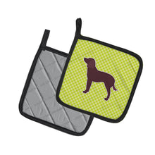Load image into Gallery viewer, American Water Spaniel Checkerboard Green Pot Holders - Set of 2 - Heat-Resistant Kitchen Essentials BB3801PTHD
