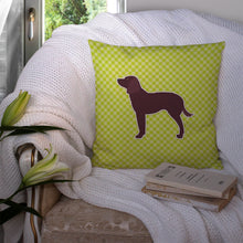 Load image into Gallery viewer, American Water Spaniel Checkerboard Green Throw Pillow - 14x14 Decorative Pillow – Art for Your Home &amp; Patio BB3801PW1414