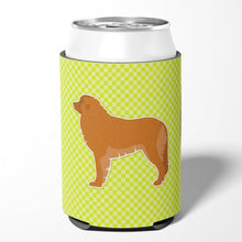 Load image into Gallery viewer, Leonberger Checkerboard Green Can or Bottle Hugger BB3858CC