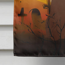 Load image into Gallery viewer, Halloween Irish Water Spaniel Flag Canvas House Size BB4329CHF