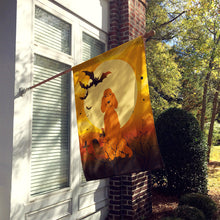 Load image into Gallery viewer, Halloween Irish Setter Flag Canvas House Size BB4330CHF