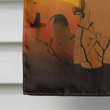Load image into Gallery viewer, Halloween Briard Brown Flag Canvas House Size BB4348CHF