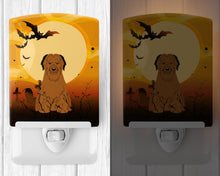Load image into Gallery viewer, Halloween Briard Brown Ceramic Night Light BB4348CNL