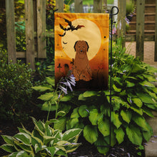 Load image into Gallery viewer, Halloween Briard Brown Garden Flag - Outdoor Decorative Yard Flag BB4348GF