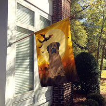 Load image into Gallery viewer, Halloween Bullmastiff Flag Canvas House Size BB4350CHF