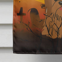 Load image into Gallery viewer, Halloween Shih Tzu Silver Chocolate Flag Canvas House Size BB4352CHF