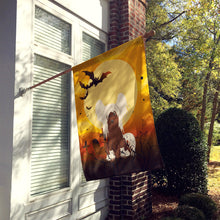 Load image into Gallery viewer, Halloween Chinese Crested Cream Flag Canvas House Size BB4379CHF