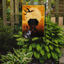 Load image into Gallery viewer, Halloween Wire Haired Dachshund Black Tan Garden Flag - Outdoor Decorative Yard Flag BB4393GF