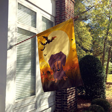 Load image into Gallery viewer, Halloween Dachshund Chocolate Flag Canvas House Size BB4397CHF