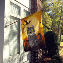 Load image into Gallery viewer, Halloween American Curl Cat Flag Canvas House Size BB4437CHF
