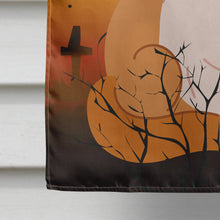 Load image into Gallery viewer, Halloween Exotic Shorthair Cat Flag Canvas House Size BB4444CHF
