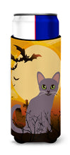 Load image into Gallery viewer, Halloween Korat Cat   Hugger for slim cans BB4447MUK