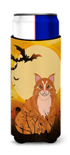 Load image into Gallery viewer, Halloween Maine Coon Cat   Hugger for slim cans BB4448MUK
