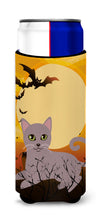 Load image into Gallery viewer, Halloween Russian Blue Cat   Hugger for slim cans BB4452MUK