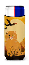 Load image into Gallery viewer, Halloween Scottish Fold Cat   Hugger for slim cans BB4453MUK