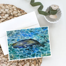 Load image into Gallery viewer, Sperm Whale Cachalot Greeting Cards -  Blank Note Cards – 8-Pack of Artist-Designed Cards with Envelopes