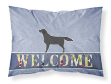 Load image into Gallery viewer, Black Labrador Retriever Welcome Fabric Standard Pillowcase – Artistic Decorative Front, White Back BB5512PILLOWCASE
