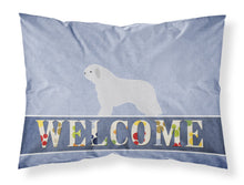 Load image into Gallery viewer, Spanish Water Dog Welcome Fabric Standard Pillowcase – Artistic Decorative Front, White Back BB5519PILLOWCASE