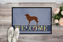 Load image into Gallery viewer, Portuguese Sheepdog Dog Welcome Doormat - 24x36 Decorative Floor Mat – Indoor/Outdoor Rug with Artistic Flair BB5535JMAT