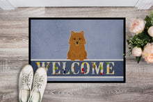 Load image into Gallery viewer, Norwich Terrier Welcome Doormat - 18x27 Decorative Floor Mat – Indoor/Outdoor Rug with Artistic Flair BB5601MAT