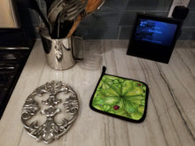 Load image into Gallery viewer, Shamrocks and Lady bugs Pot Holders - Set of 2 - Heat-Resistant Kitchen Essentials BB5754PTHD