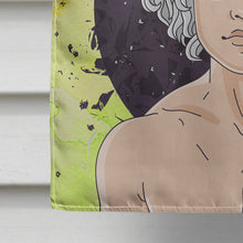 Load image into Gallery viewer, Aquarius Zodiac Sign Flag Canvas House Size BB7315CHF