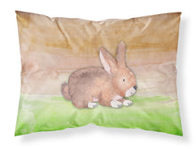 Load image into Gallery viewer, Rabbit Watercolor Fabric Standard Pillowcase – Artistic Decorative Front, White Back BB7410PILLOWCASE