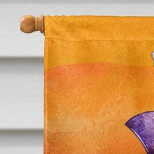 Load image into Gallery viewer, Halloween Trick Witches Feet Flag Canvas House Size BB7460CHF