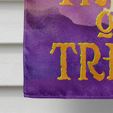 Load image into Gallery viewer, Halloween Trick Witches Feet Flag Canvas House Size BB7460CHF