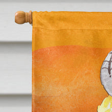 Load image into Gallery viewer, Halloween Sweets Ice Cream Skull Flag Canvas House Size BB7464CHF