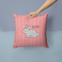 Load image into Gallery viewer, Nursery Love Bunny Rabbit Throw Pillow - 14x14 Decorative Pillow – Art for Your Home &amp; Patio BB7476PW1414