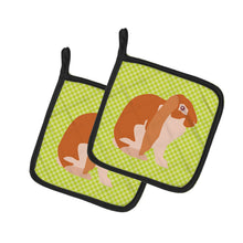 Load image into Gallery viewer, English Lop Rabbit Green Pot Holders - Set of 2 - Heat-Resistant Kitchen Essentials BB7788PTHD