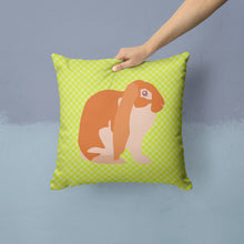 Load image into Gallery viewer, English Lop Rabbit Green Throw Pillow - 14x14 Decorative Pillow – Art for Your Home &amp; Patio BB7788PW1414
