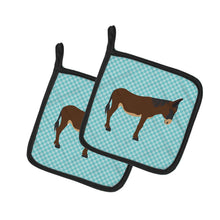 Load image into Gallery viewer, Zamorano-Leones Donkey Blue Check Pot Holders - Set of 2 - Heat-Resistant Kitchen Essentials BB8027PTHD