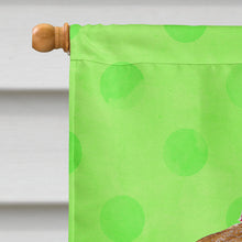 Load image into Gallery viewer, Sea Shell Green Polkadot Flag Canvas House Size BB8170CHF