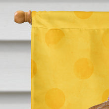 Load image into Gallery viewer, Sea Shell Yellow Polkadot Flag Canvas House Size BB8172CHF