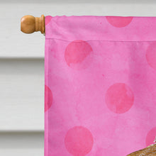 Load image into Gallery viewer, Sea Shell Pink Polkadot Flag Canvas House Size BB8174CHF