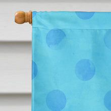 Load image into Gallery viewer, Sunglasses Blue Polkadot Flag Canvas House Size BB8176CHF